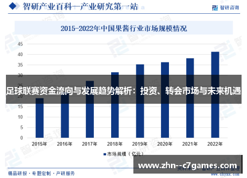 足球联赛资金流向与发展趋势解析：投资、转会市场与未来机遇