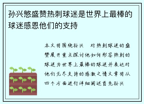 孙兴慜盛赞热刺球迷是世界上最棒的球迷感恩他们的支持